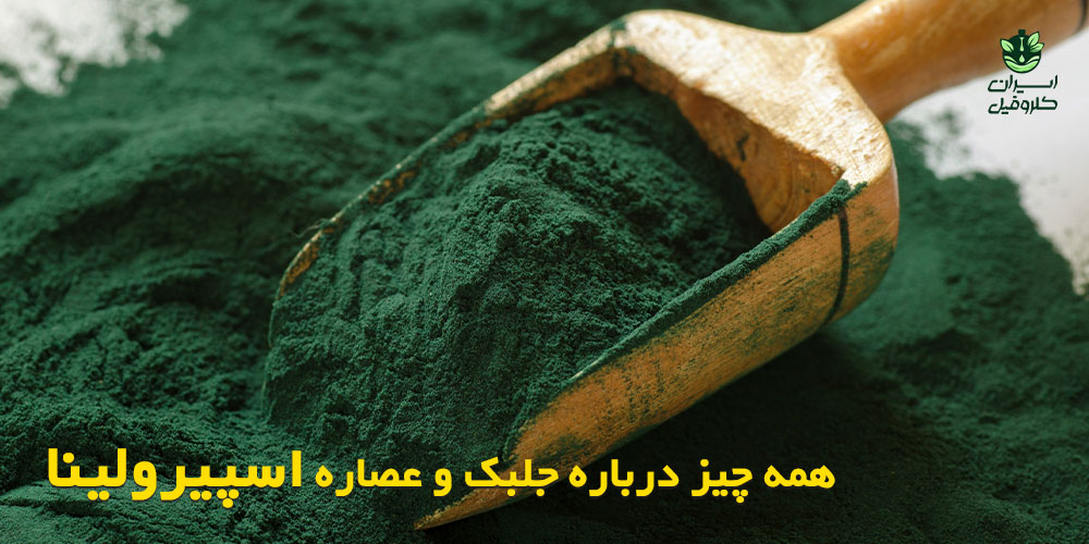 اسپیرولینا چیست و چه فوایدی دارد؟ خرید عصاره خالص اسپیرولینا