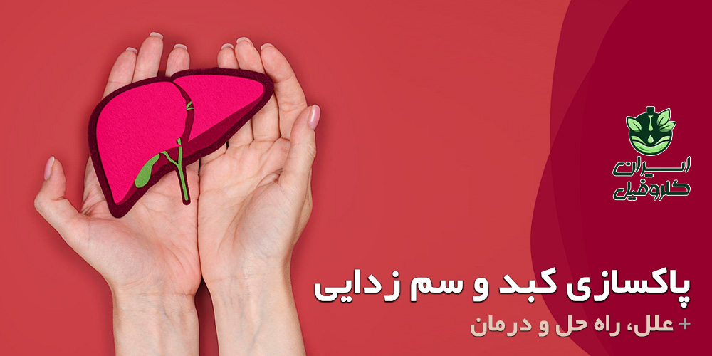 پاکسازی کبد و خون و سم زدایی سریع (محصول ویژه) – علل، راه حل و درمان