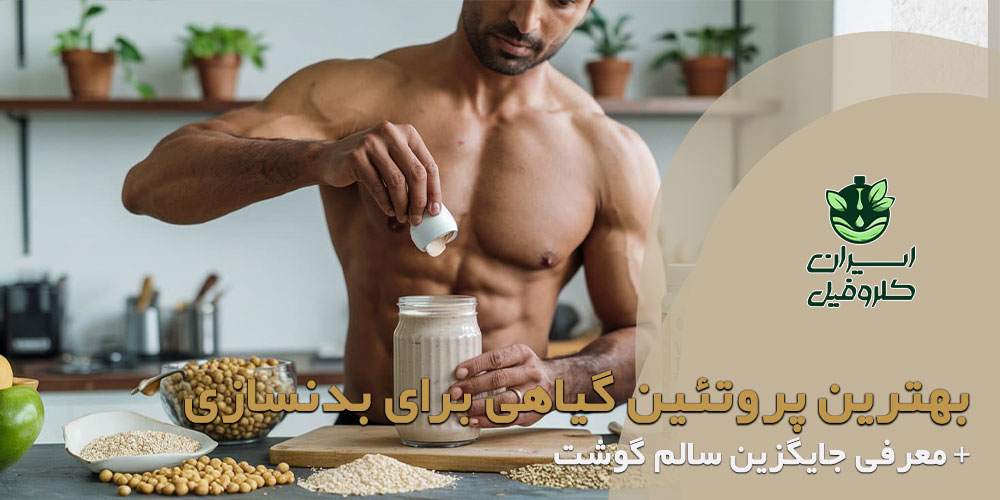 بهترین پروتئین گیاهی برای بدنسازی؛ جایگزین سالم گوشت