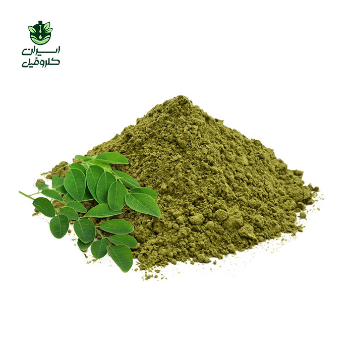 پودر مورینگا خالص 100% طبیعی | حجم 100 گرم | برند ایران کلروفیل